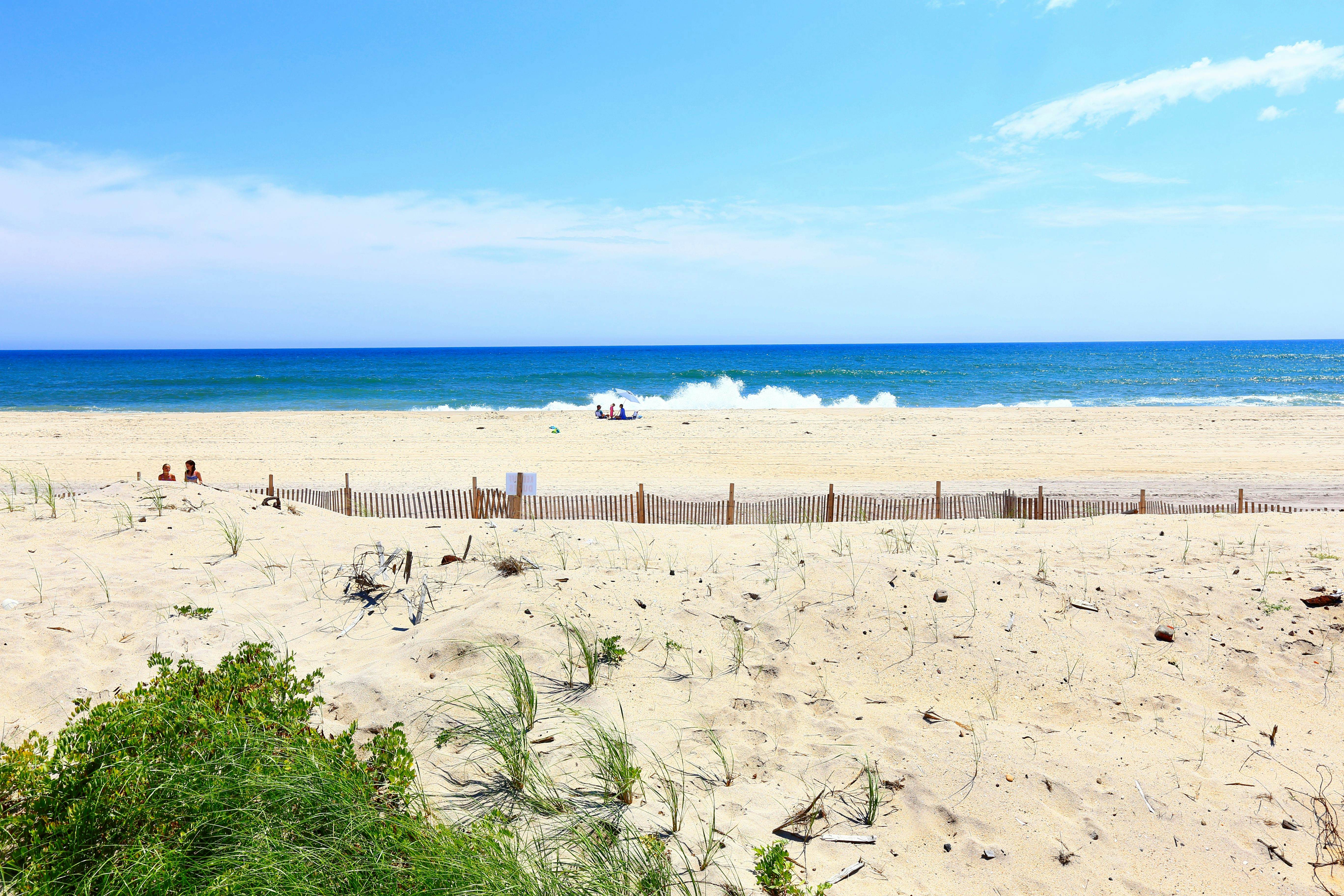 USA, New York state . Fire island. Point O'Woods.Ocean side beach.
Fire Island National Seashore
